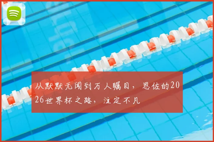 从默默无闻到万人瞩目,恩佐的2026世界杯之路,注定不凡
